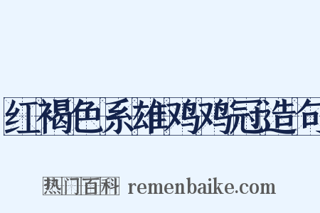 红褐色系雄鸡鸡冠造句是什么意思的图片